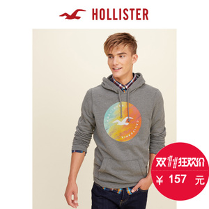 Hollister 106482