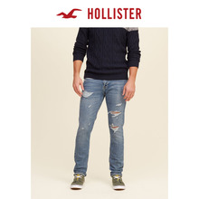 Hollister 101930