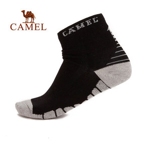 Camel/骆驼 A6W3B3101