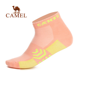 Camel/骆驼 A6W3B3117