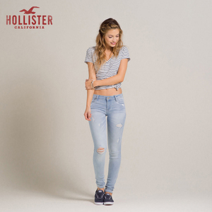 Hollister 65116