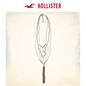 Hollister 125845