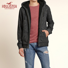 Hollister 100502