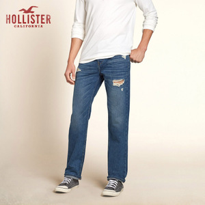 Hollister 84735