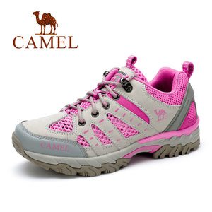 Camel/骆驼 A61303634