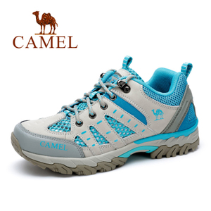 Camel/骆驼 A61303634