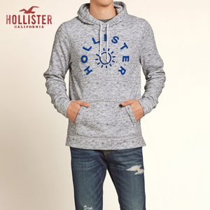 Hollister 100083