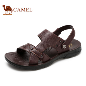 Camel/骆驼 A622211722