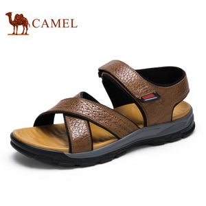 Camel/骆驼 A622060342
