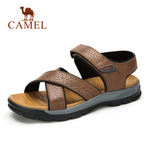 Camel/骆驼 A622060342