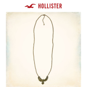 Hollister 125852