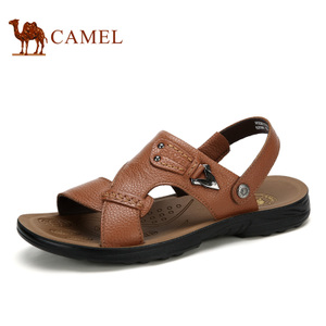 Camel/骆驼 A622211702