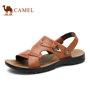 Camel/骆驼 A622211702