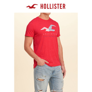 Hollister 128255