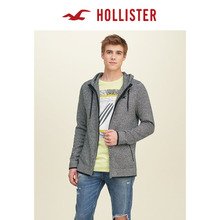 Hollister 113403
