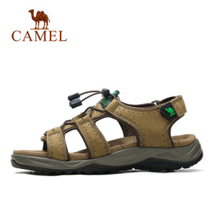 Camel/骆驼 A622307247