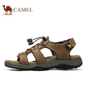 Camel/骆驼 A622307247