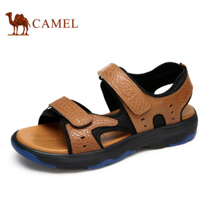 Camel/骆驼 A622001152