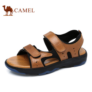Camel/骆驼 A622001152