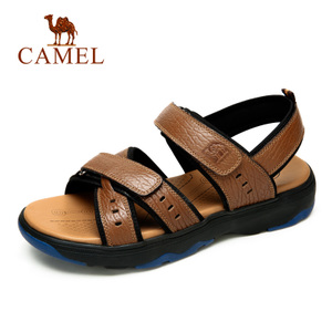 Camel/骆驼 A622001162