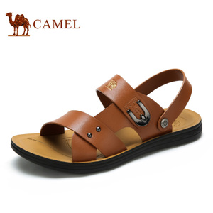 Camel/骆驼 A622211872