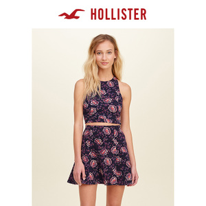 Hollister 113962