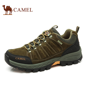 Camel/骆驼 A432303035