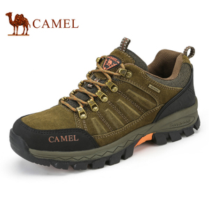 Camel/骆驼 A632026945