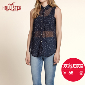 Hollister 91057