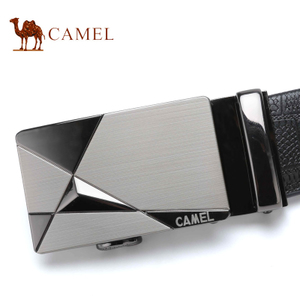 Camel/骆驼 DF193167-03