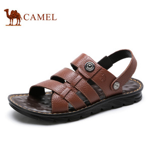 Camel/骆驼 A622287652