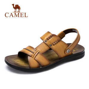 Camel/骆驼 A622211842
