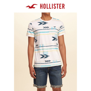 Hollister 124563
