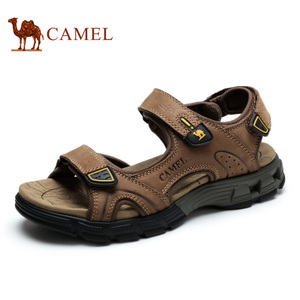 Camel/骆驼 A622307277