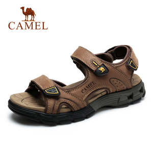Camel/骆驼 A622307277