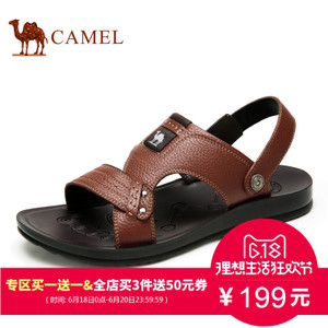 Camel/骆驼 A622287732