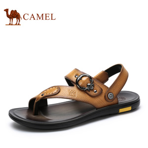 Camel/骆驼 A622263132