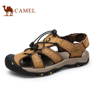 Camel/骆驼 A622309232