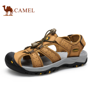 Camel/骆驼 A52309605