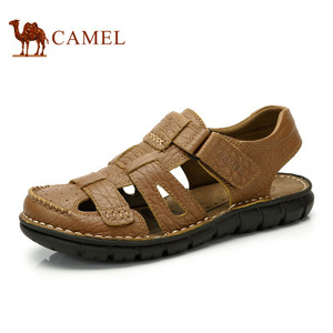 Camel/骆驼 A622396142