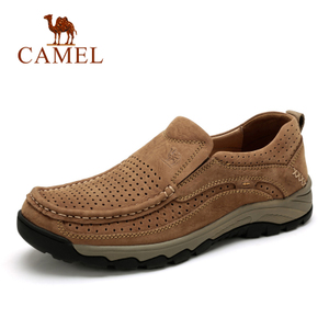 Camel/骆驼 A622066190