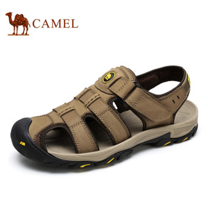 Camel/骆驼 A622309237