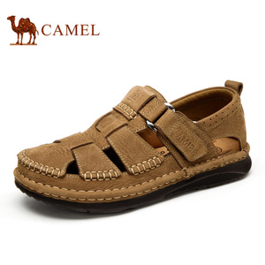 Camel/骆驼 A622374052