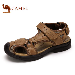Camel/骆驼 A622147157