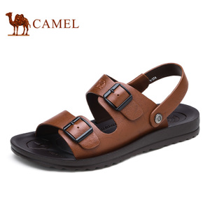 Camel/骆驼 A622267142