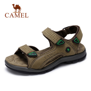 Camel/骆驼 A622307267