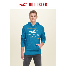 Hollister 128479