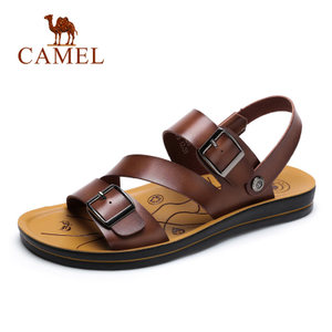 Camel/骆驼 A622263082