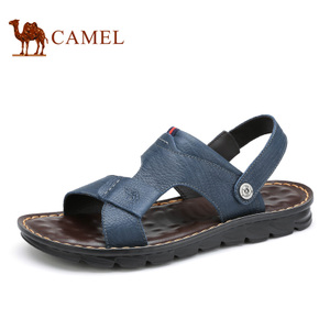 Camel/骆驼 A622287672