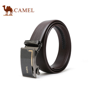 Camel/骆驼 DF193116-02